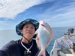 レンコダイの釣果