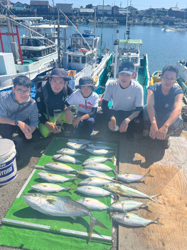 ブリの釣果