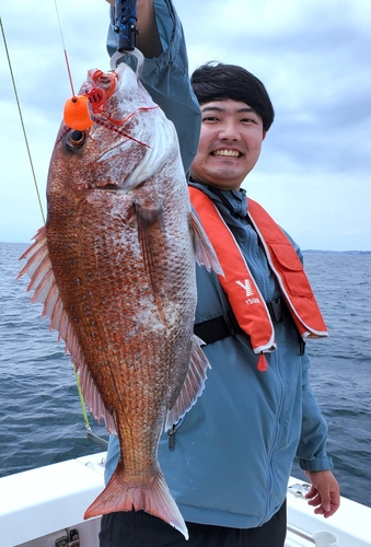 マダイの釣果