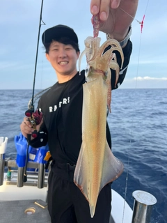 ケンサキイカの釣果