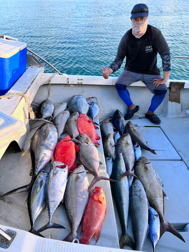 キハダマグロの釣果