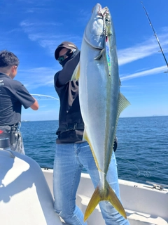 メジロの釣果