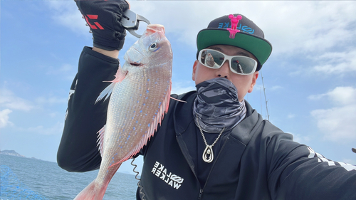 チダイの釣果