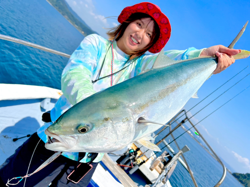 ブリの釣果