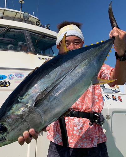 キハダマグロの釣果