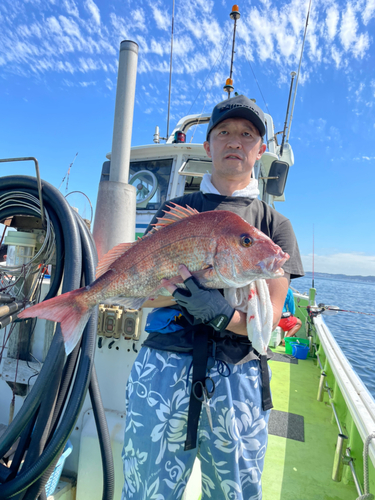 マダイの釣果