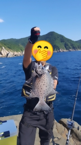 イシガキダイの釣果