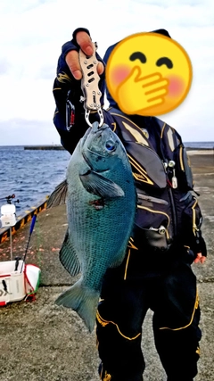 クチブトグレの釣果