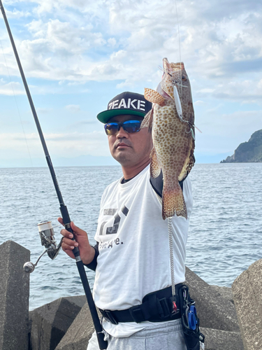 オオモンハタの釣果