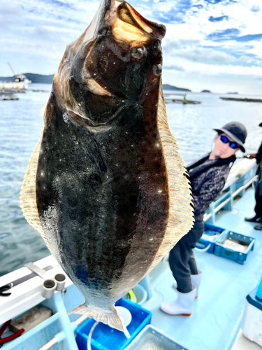 ヒラメの釣果