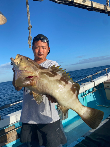 クエの釣果