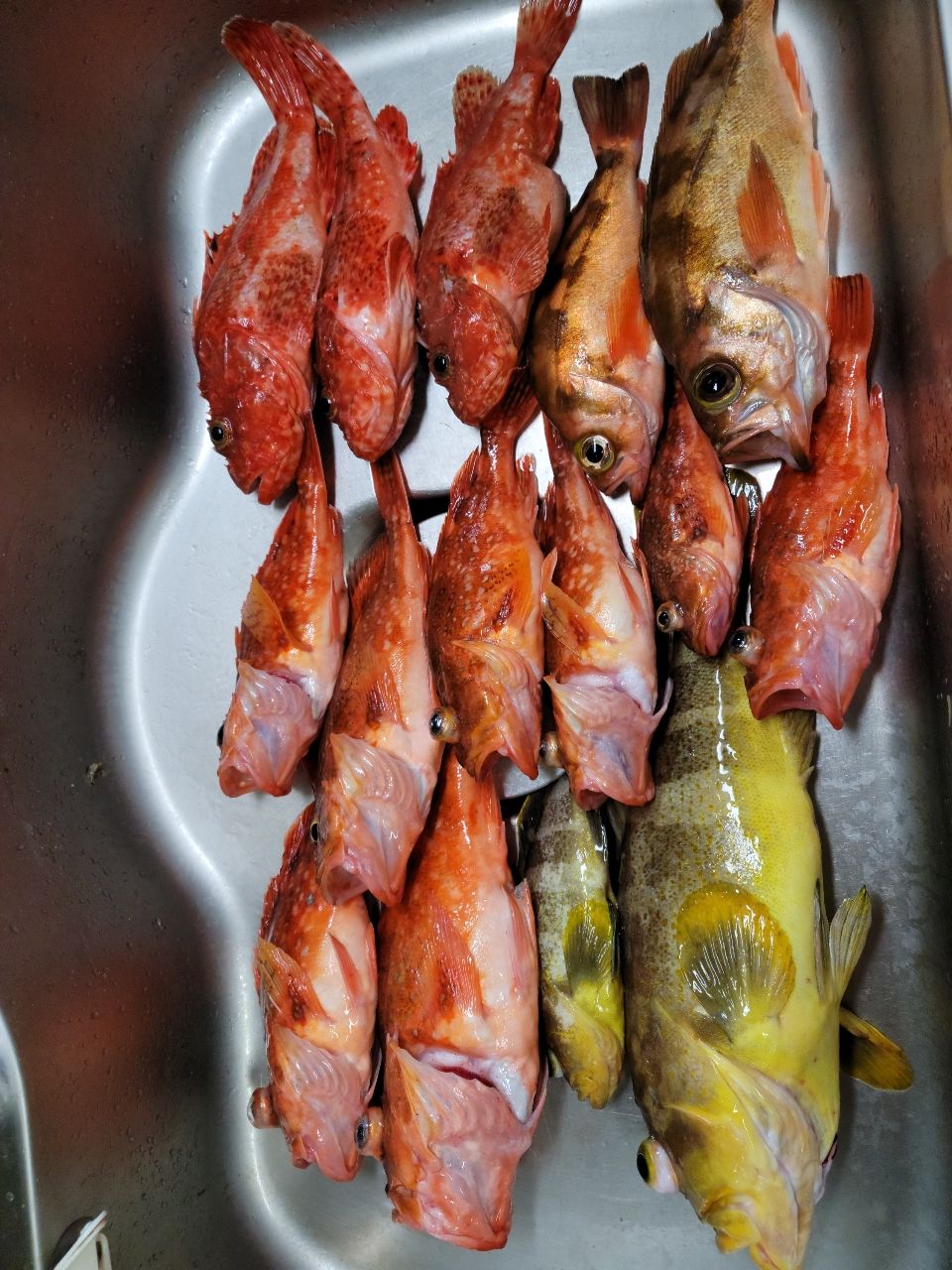 隆Takaさんの釣果 3枚目の画像