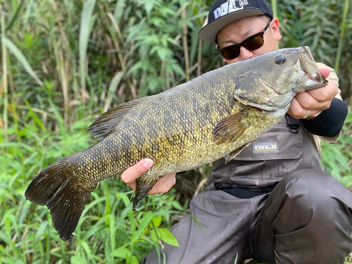 スモールマウスバスの釣果