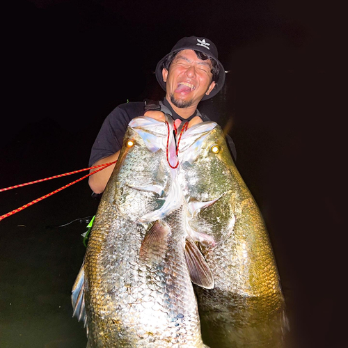 アカメの釣果