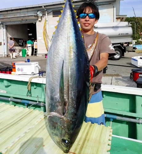 キハダマグロの釣果