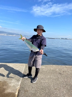 メジロの釣果