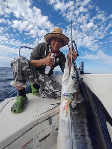 マカジキの釣果