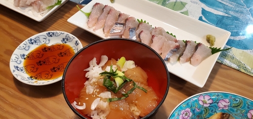 サワラの釣果