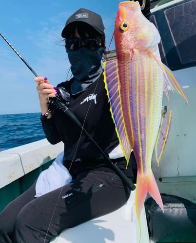 イトヨリダイの釣果