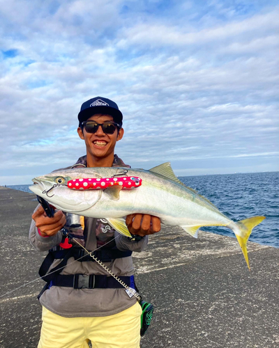 ワラサの釣果