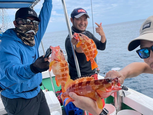 アカハタの釣果