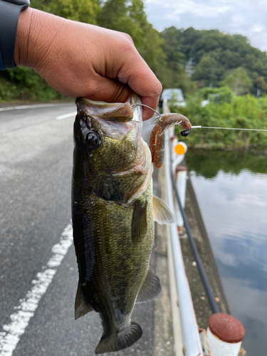 釣果