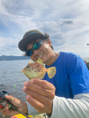 カワハギの釣果