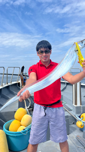 タチウオの釣果