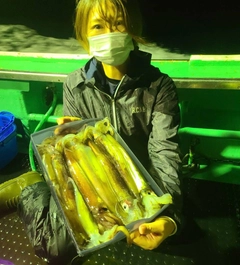 スルメイカの釣果