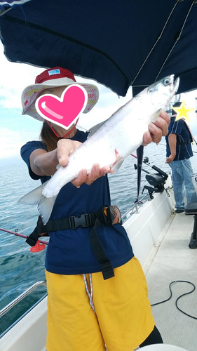 ビワマスの釣果