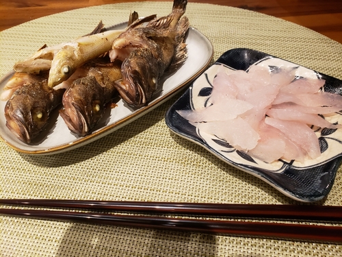 釣果