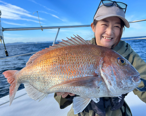 マダイの釣果