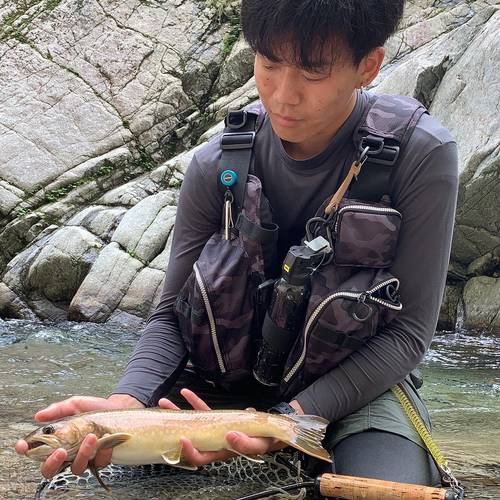 イワナの釣果