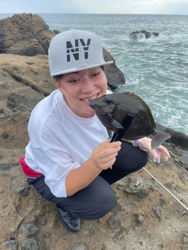 ニザダイの釣果