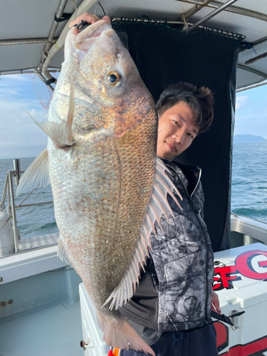 マダイの釣果