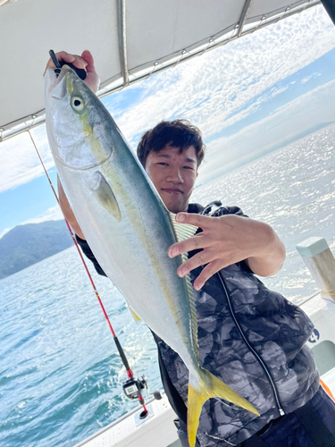 ハマチの釣果