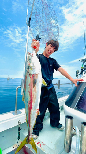 ハマチの釣果