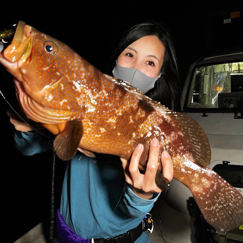 アコウの釣果