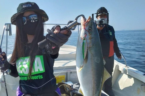 ハマチの釣果