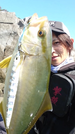 ショゴの釣果