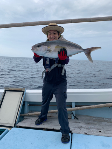 カンパチの釣果