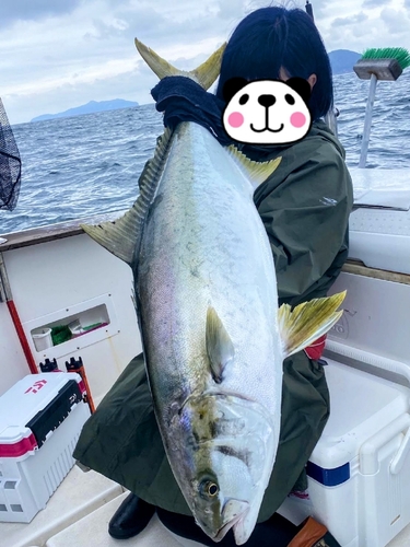 ヒラマサの釣果