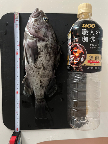 釣果