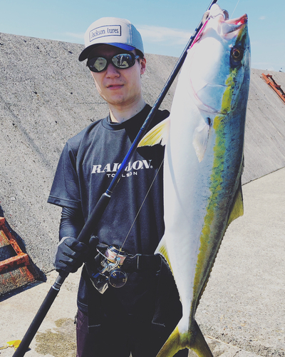 メジロの釣果