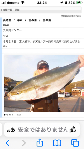 ヤズの釣果