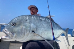 ロウニンアジの釣果