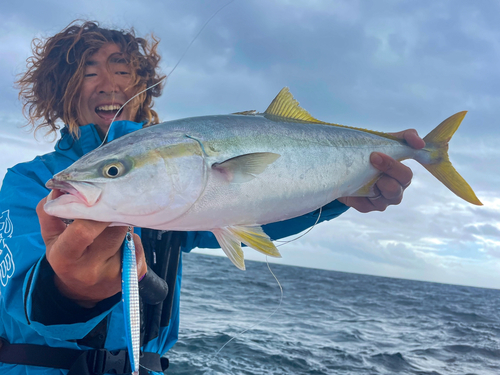 イナダの釣果