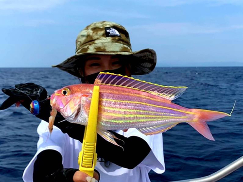 イトヨリダイの釣果