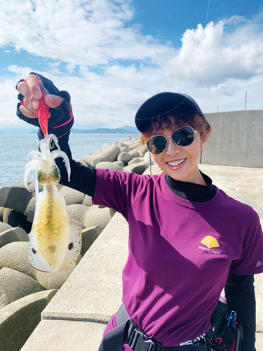 イカの釣果