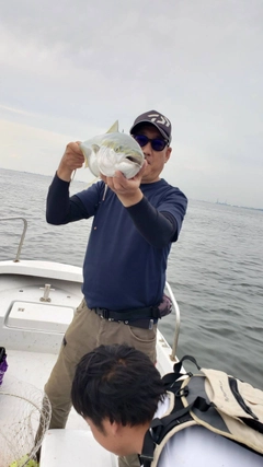 ワラサの釣果